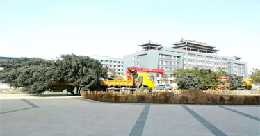栽大樹、育大才！“首府花園式校園”內蒙古鴻德文理學院打響今年綠化校園“第一槍”
